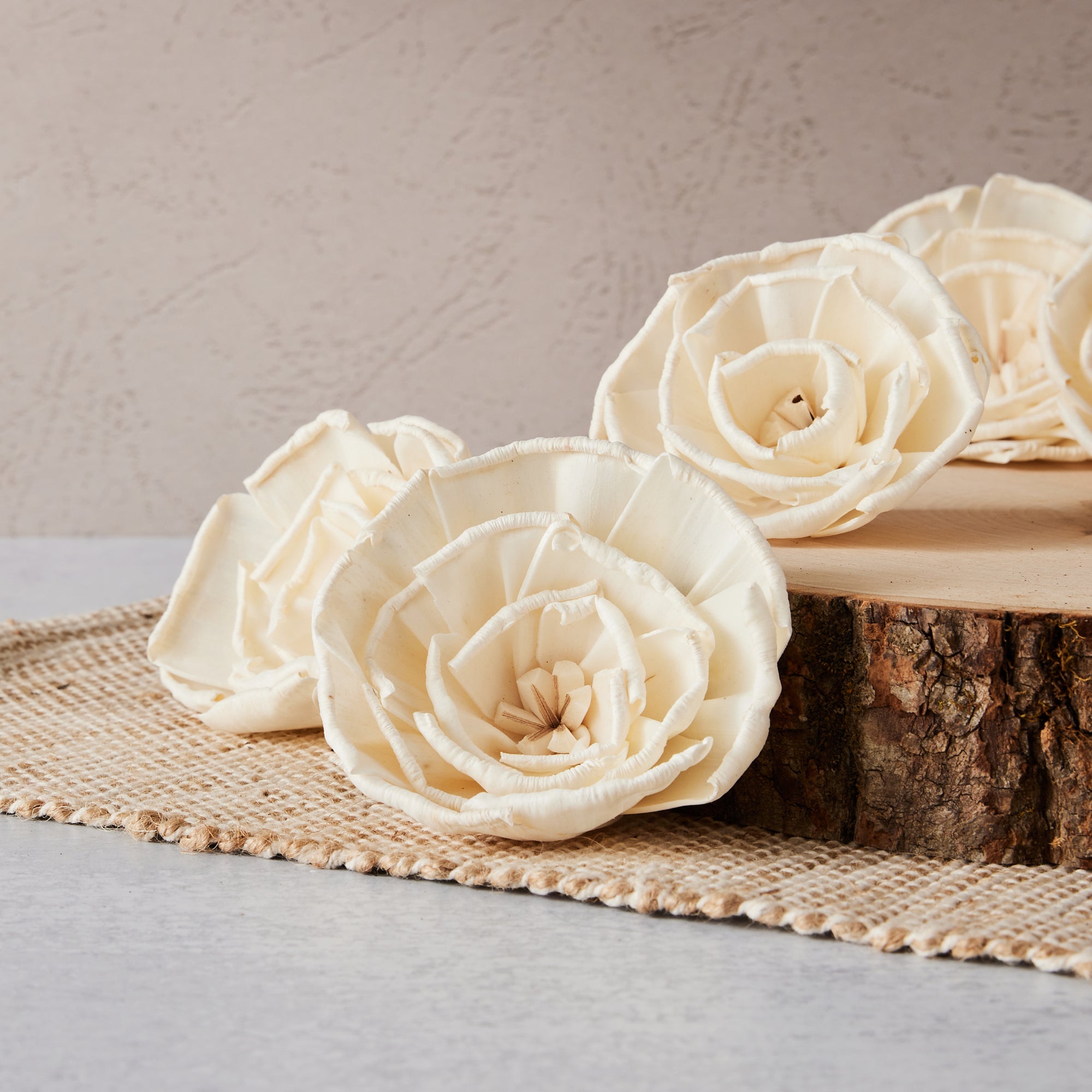 Doris™ set of 6 - 3 inches
