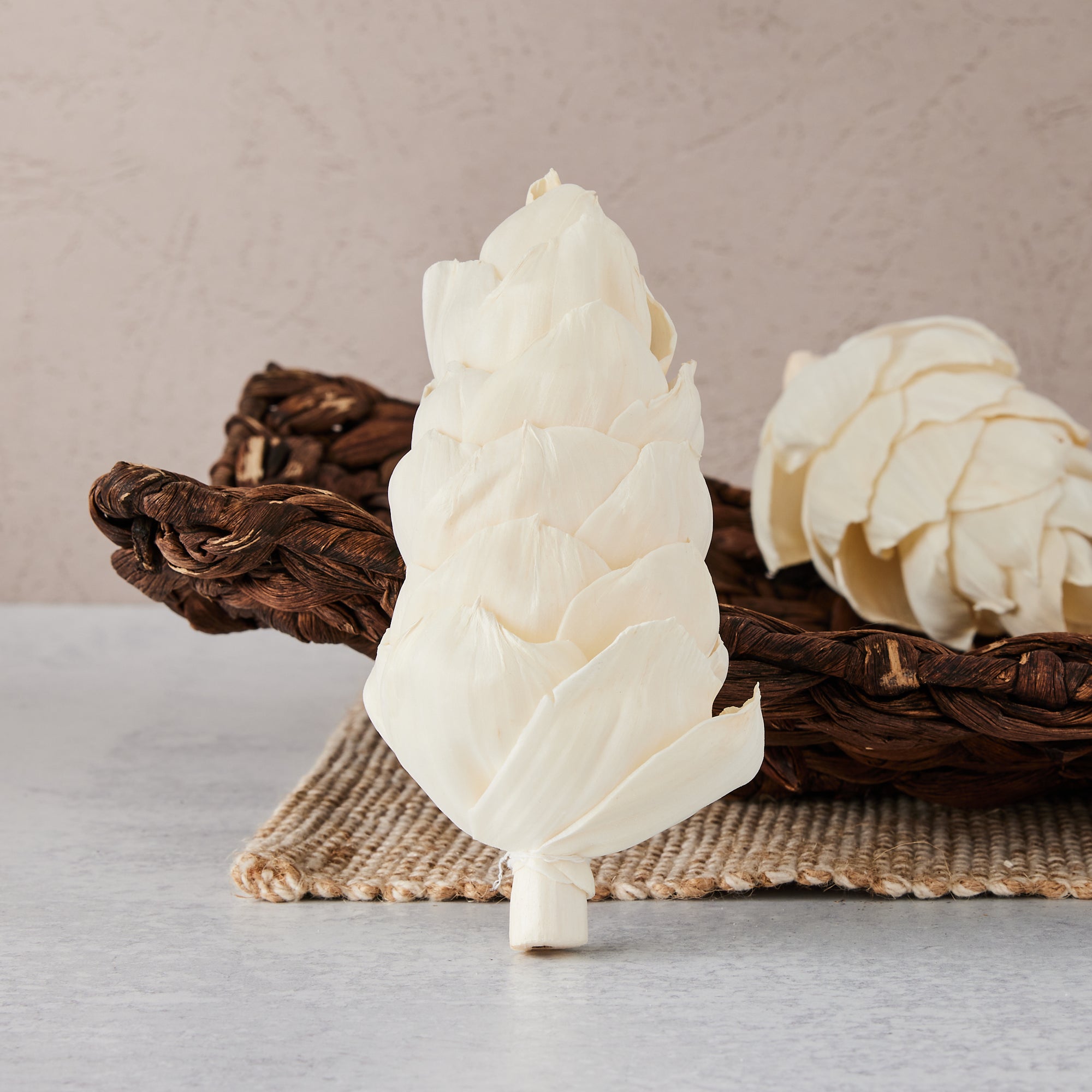 Hawaiian Ginger™ - set of 6 - 4"