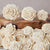 Clara™ - Size Assortment - Set of 50