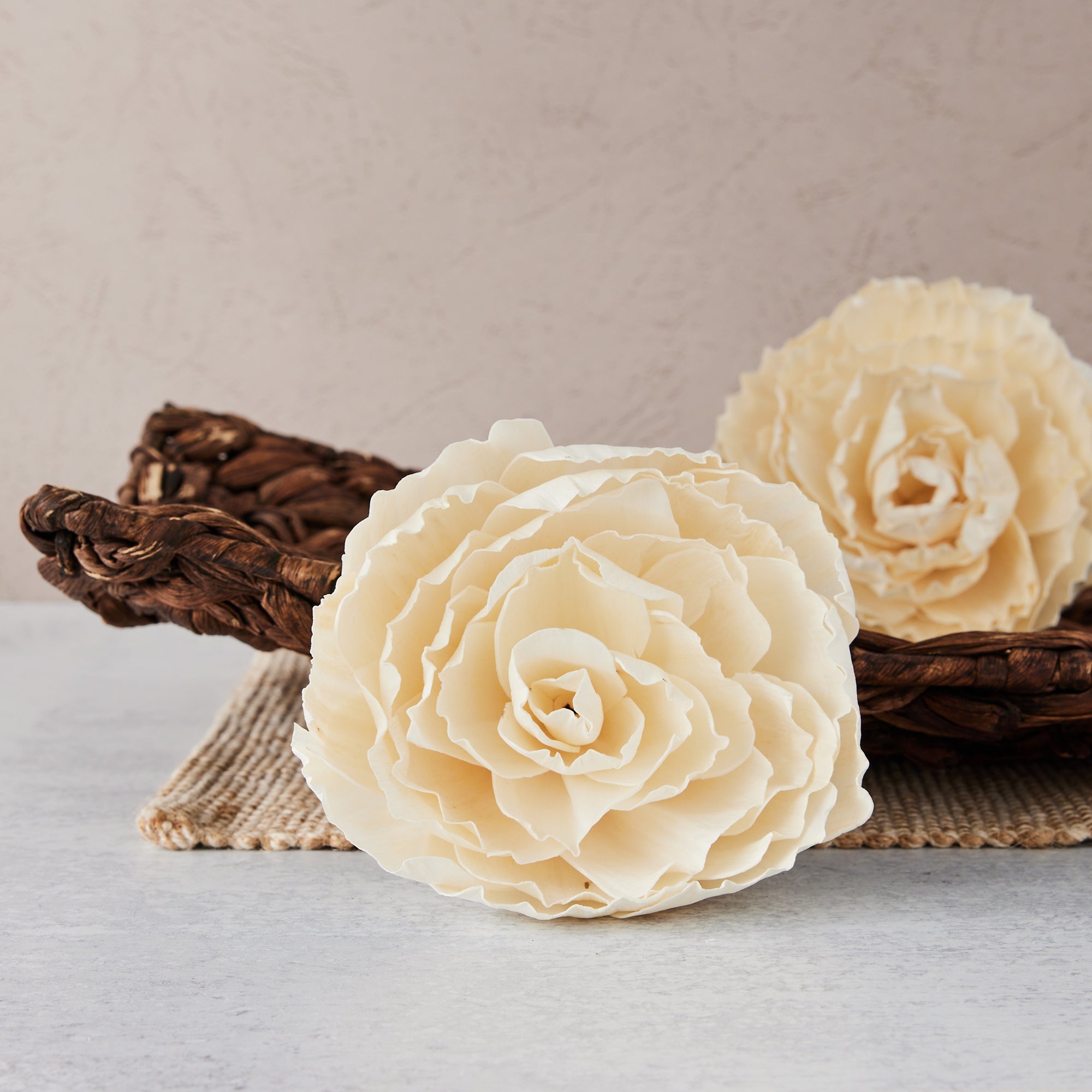 Chardonnay ™ | set of 3 | XL 5 inches