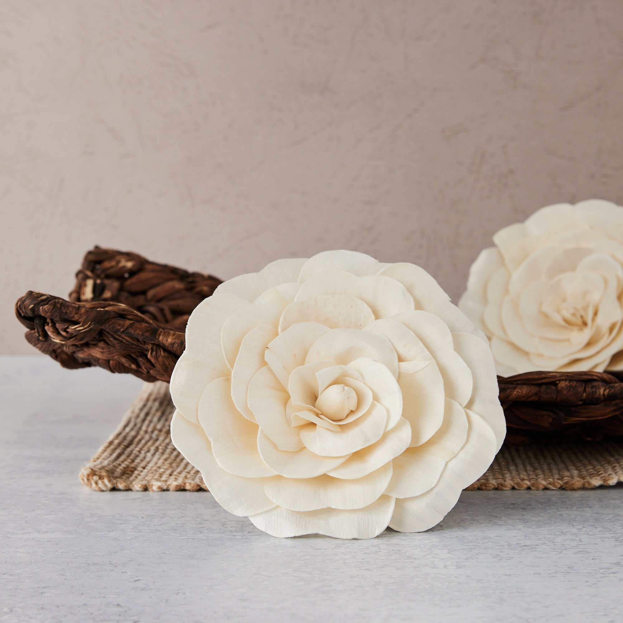 Double Begonia ™ | set of 3 | XL 5 inches