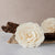 Double Begonia ™ | set of 3 | XL 5 inches
