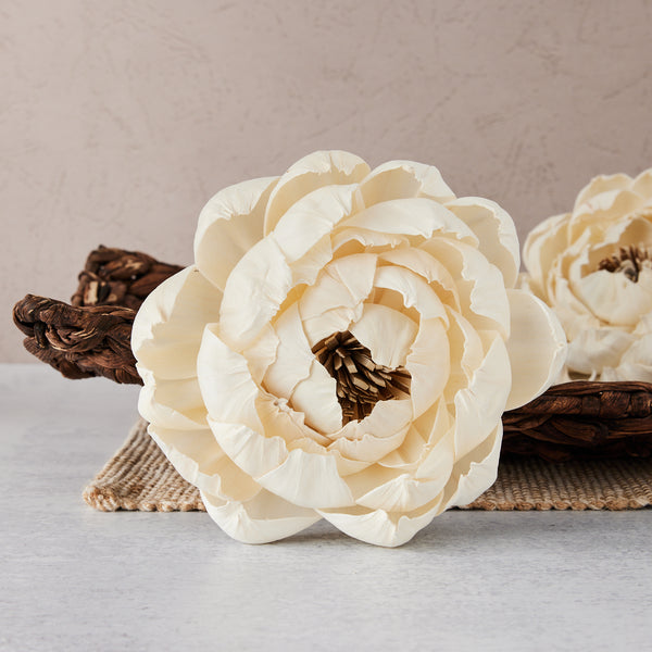 w.o.d.　F.L.O.W.E.R.S. 022823_OYSL_XL_Helen_14575_Web