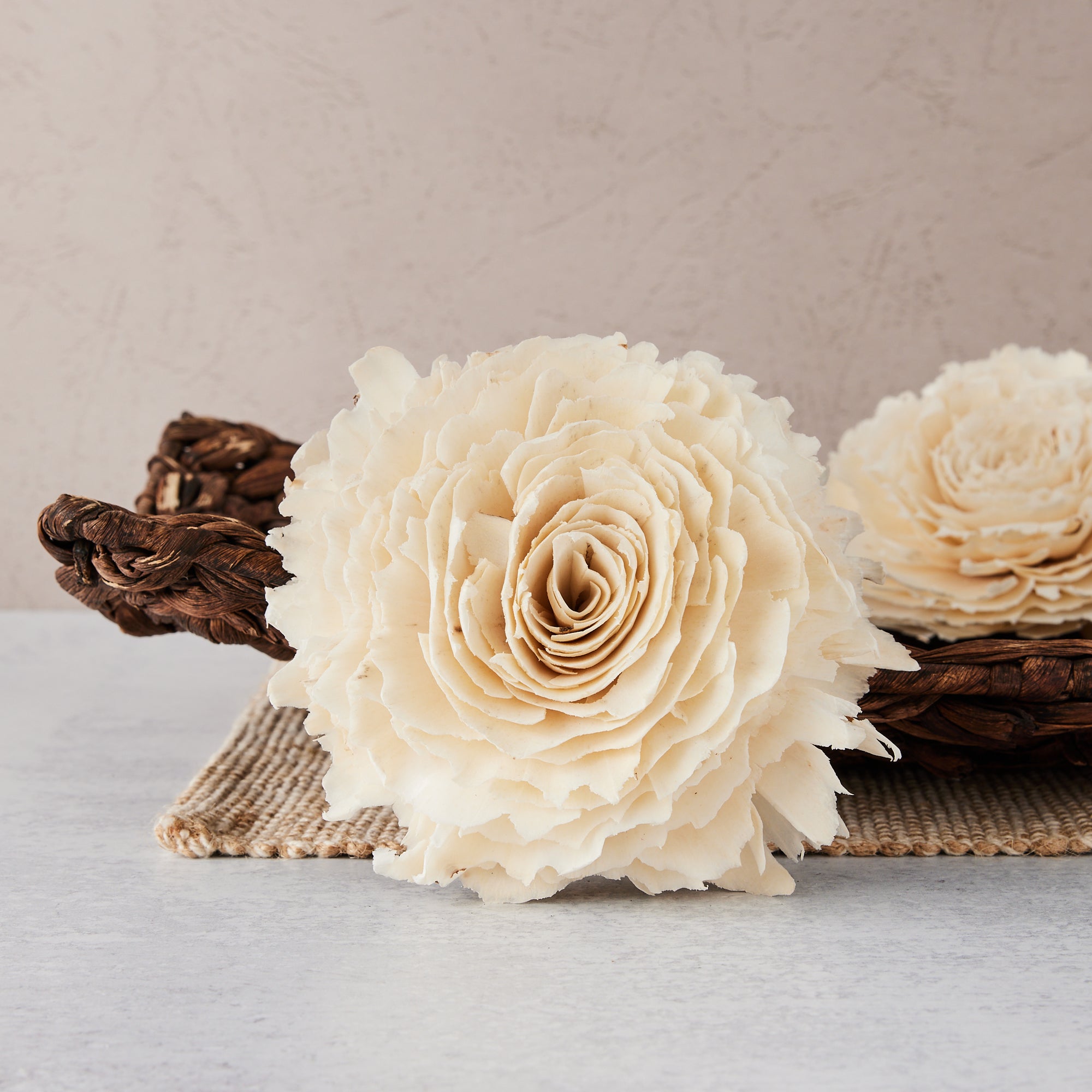 Sophia | X-Large | Set of 3