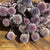 Purple Echinops | Dried Filler