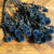 Blue Echinops | Dried and Dyed Filler