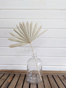 Palms -Dried _sola_wood_flowers