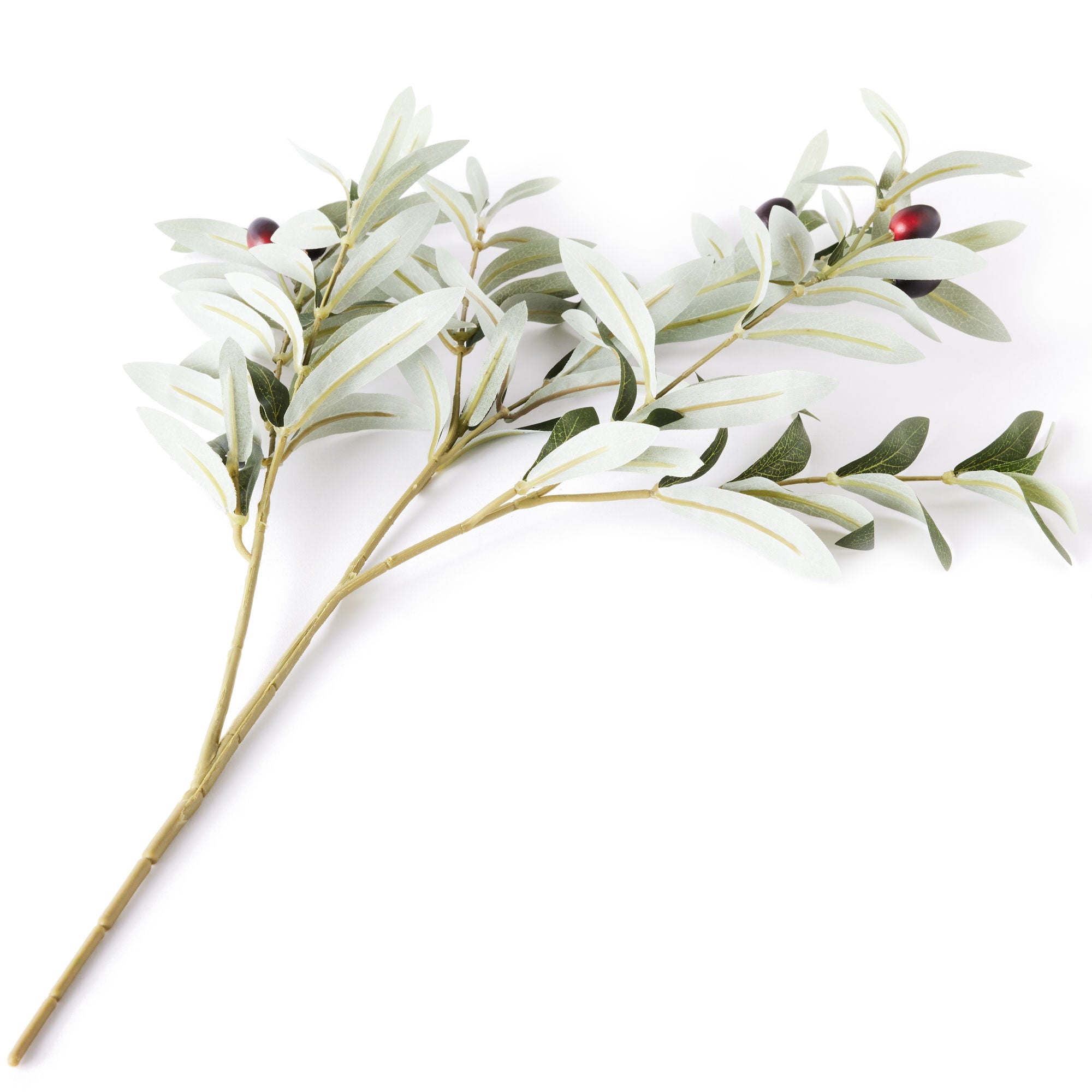 Olive Branch | Faux