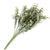 Italian Ruscus stem Artificial Greenery - 21 inches