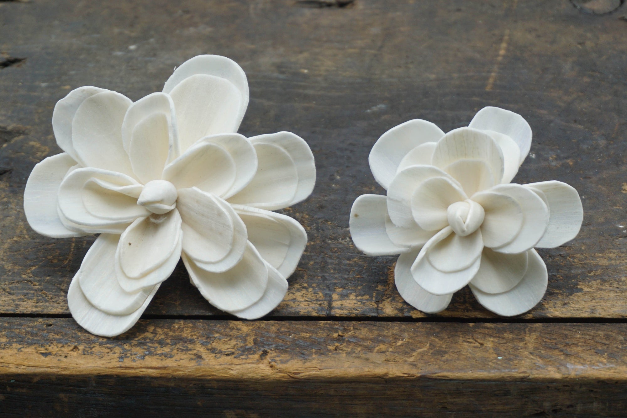 Alice™ Flower  - set of 12- 3 inches _sola_wood_flowers