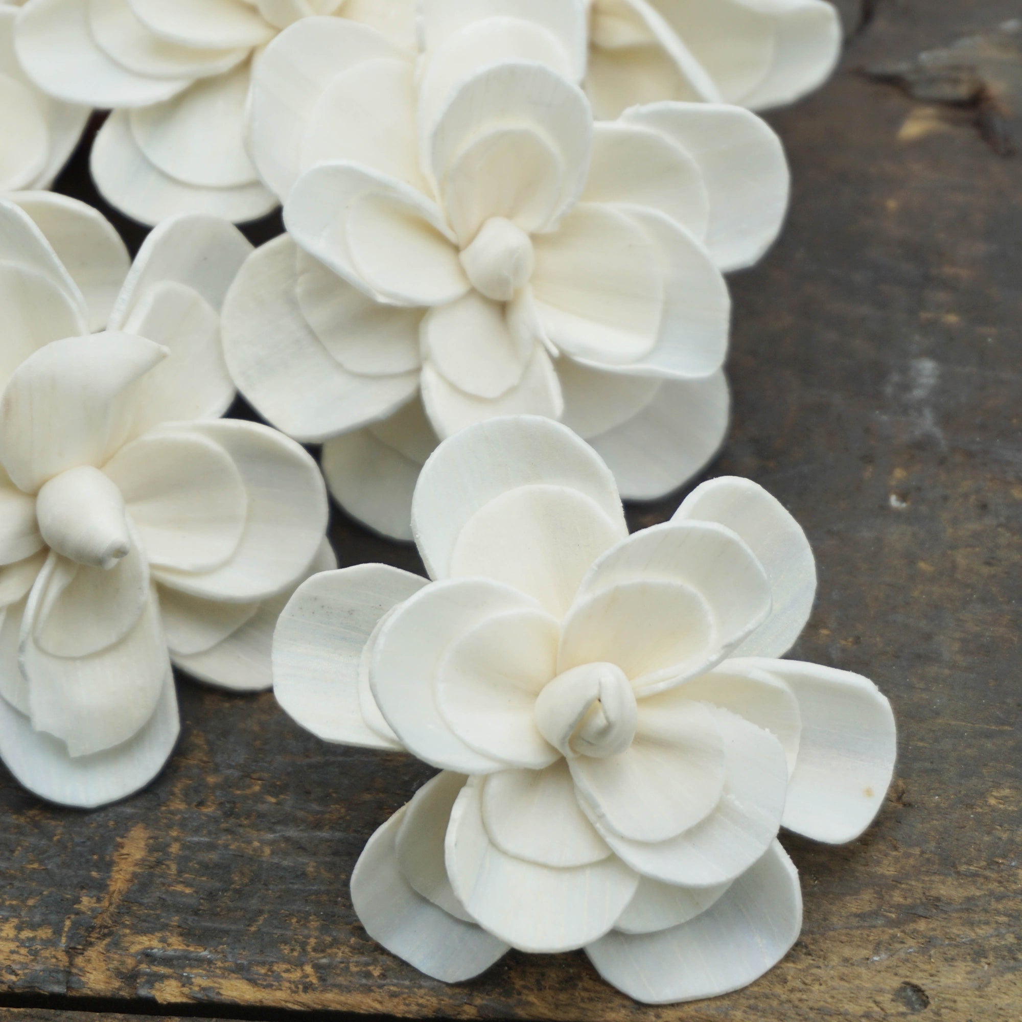 Alice™ Flower  - set of 12- 3 inches _sola_wood_flowers