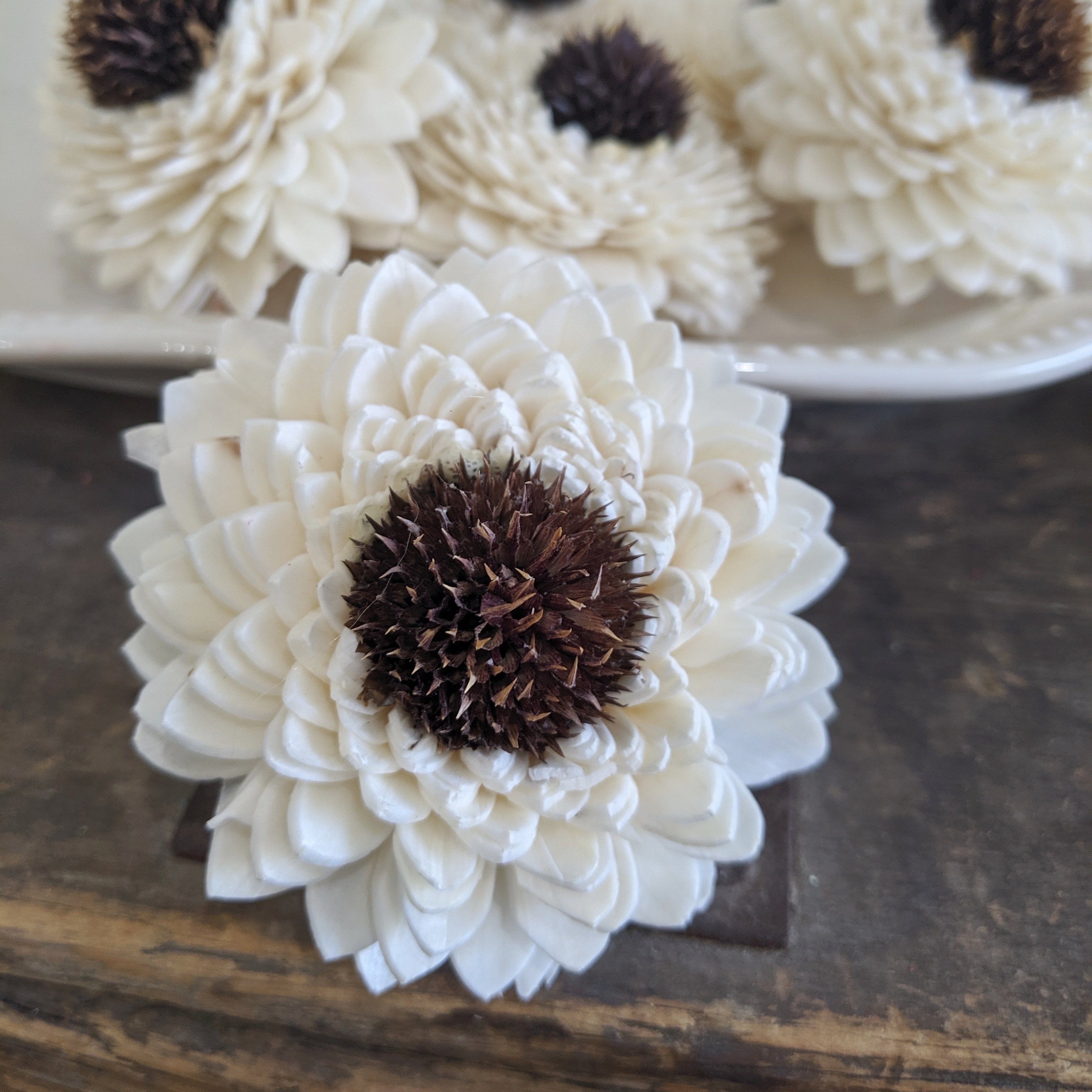 Auntie Sue™ - set of 12 - 2.5 inches _sola_wood_flowers