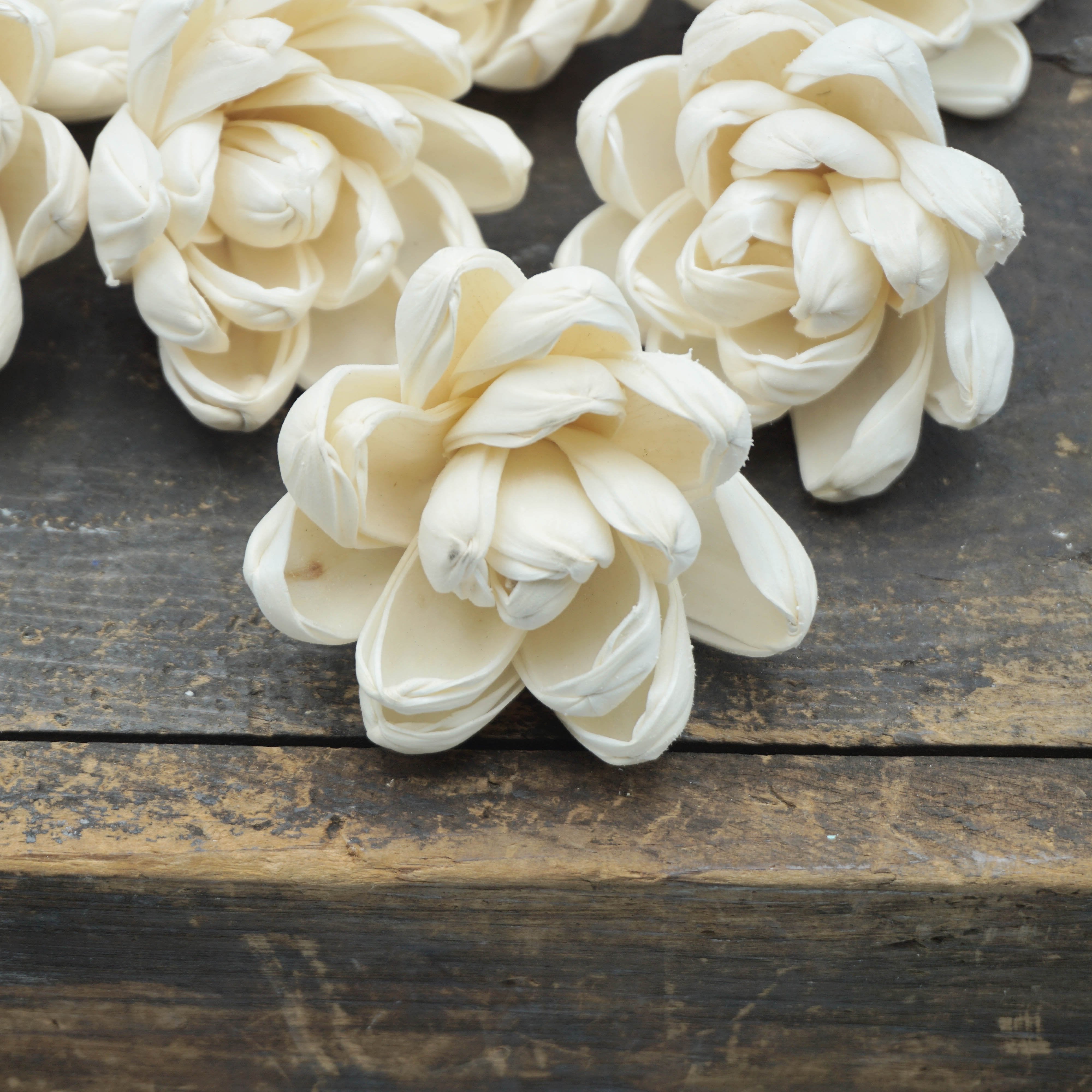 Blossom™ Flower  - set of 12-  2.5 Inches _sola_wood_flowers