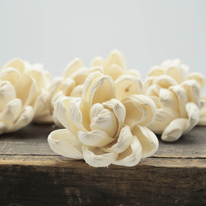 Blossom™ Flower  - set of 12-  3 inches _sola_wood_flowers