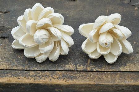 Blossom™ Flower  - set of 12-  3 inches _sola_wood_flowers