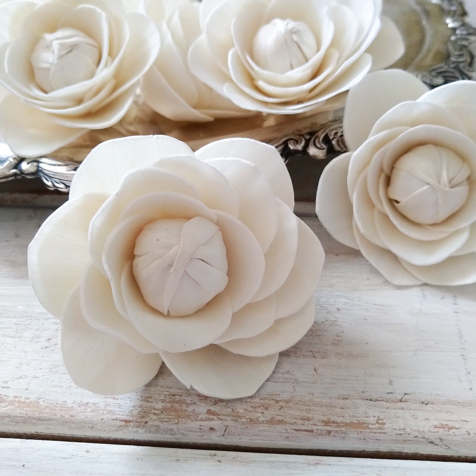 Camellia™- set of 12-  2.5 inches _sola_wood_flowers