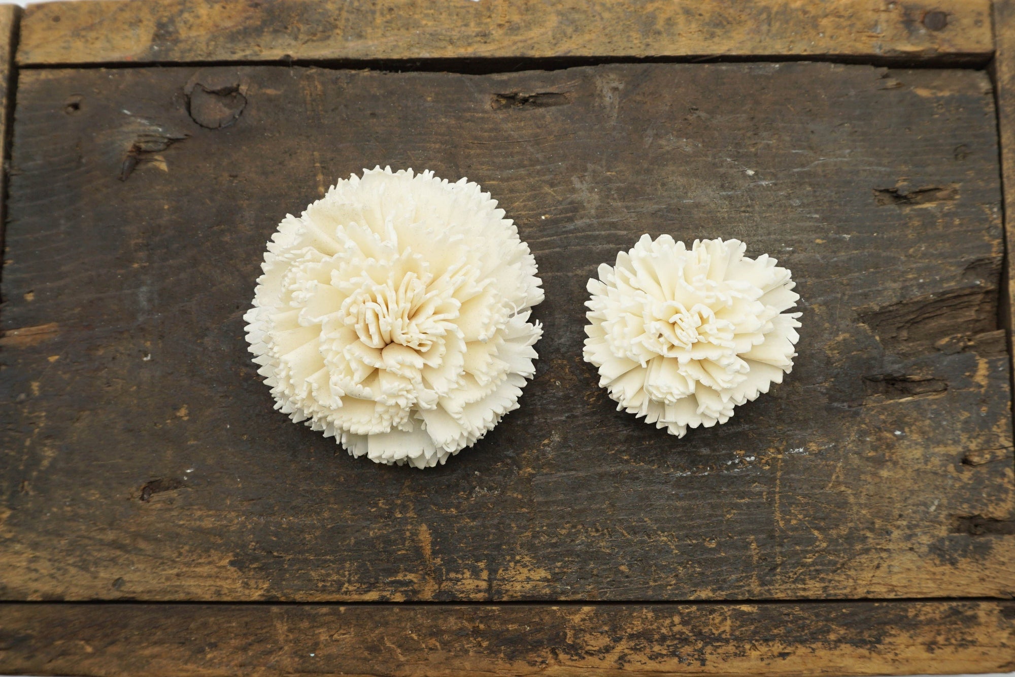 Carnation Flower - set of 12-  1.5 inches _sola_wood_flowers