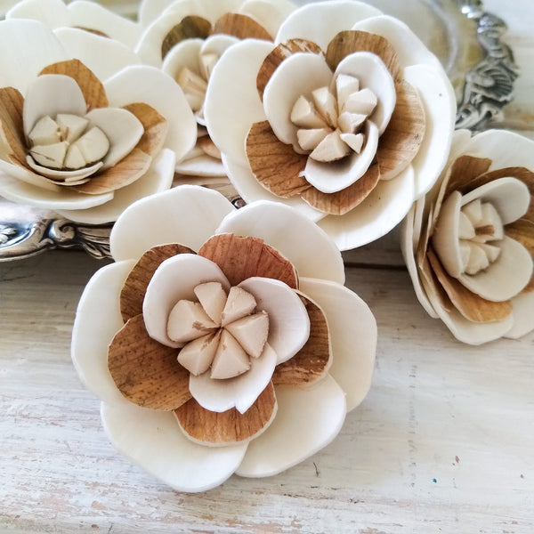 Charm- sola wood flowers - sold by the dozen - Oh! You're