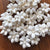 Cherry Blossom - Set of 12 _sola_wood_flowers