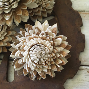 Cocoa™ Set of 12 - 1.5 inches _sola_wood_flowers