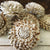 Cocoa™ Set of 12 - 2.5 inches _sola_wood_flowers