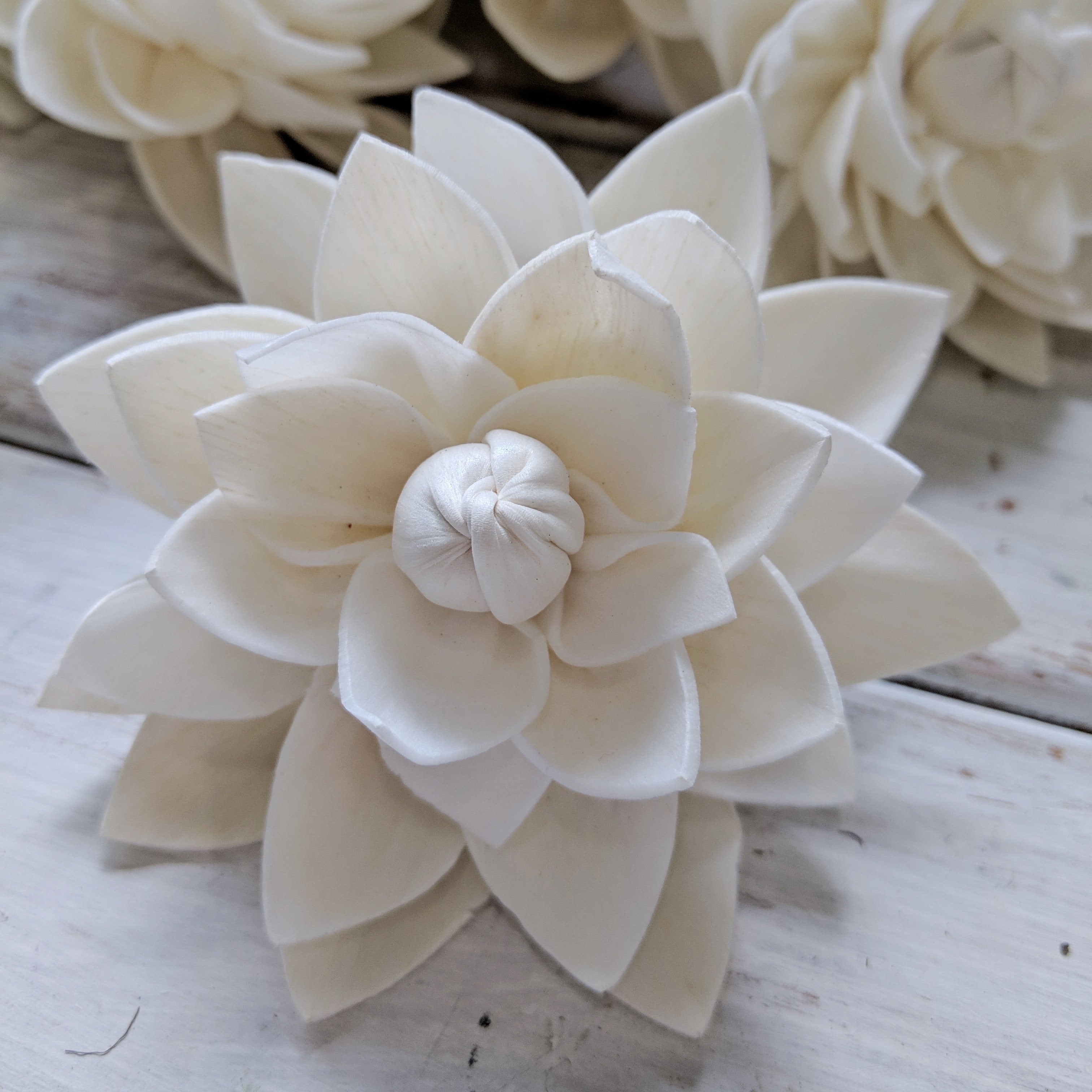 Dahlia - Set of 12- 2.5 inches _sola_wood_flowers