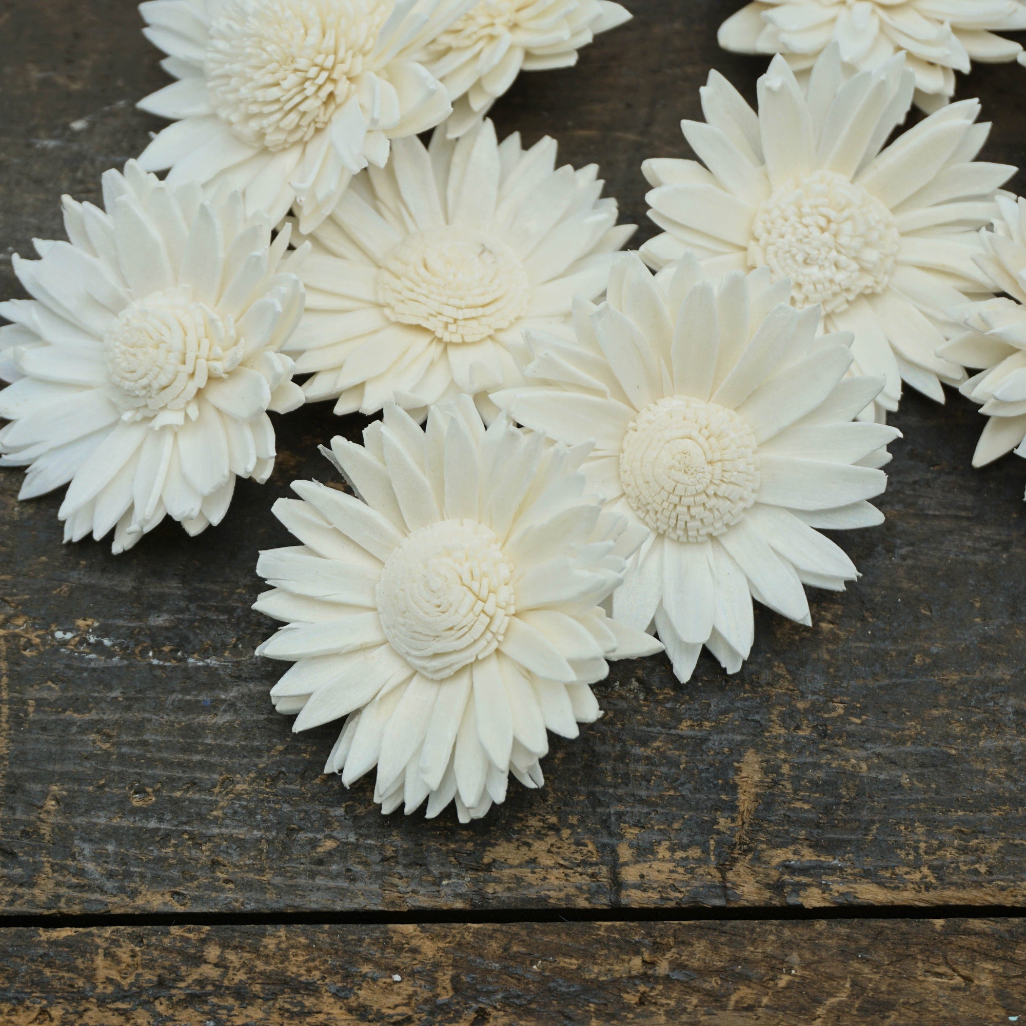 Daisy- 1.5" sold by the dozen _sola_wood_flowers