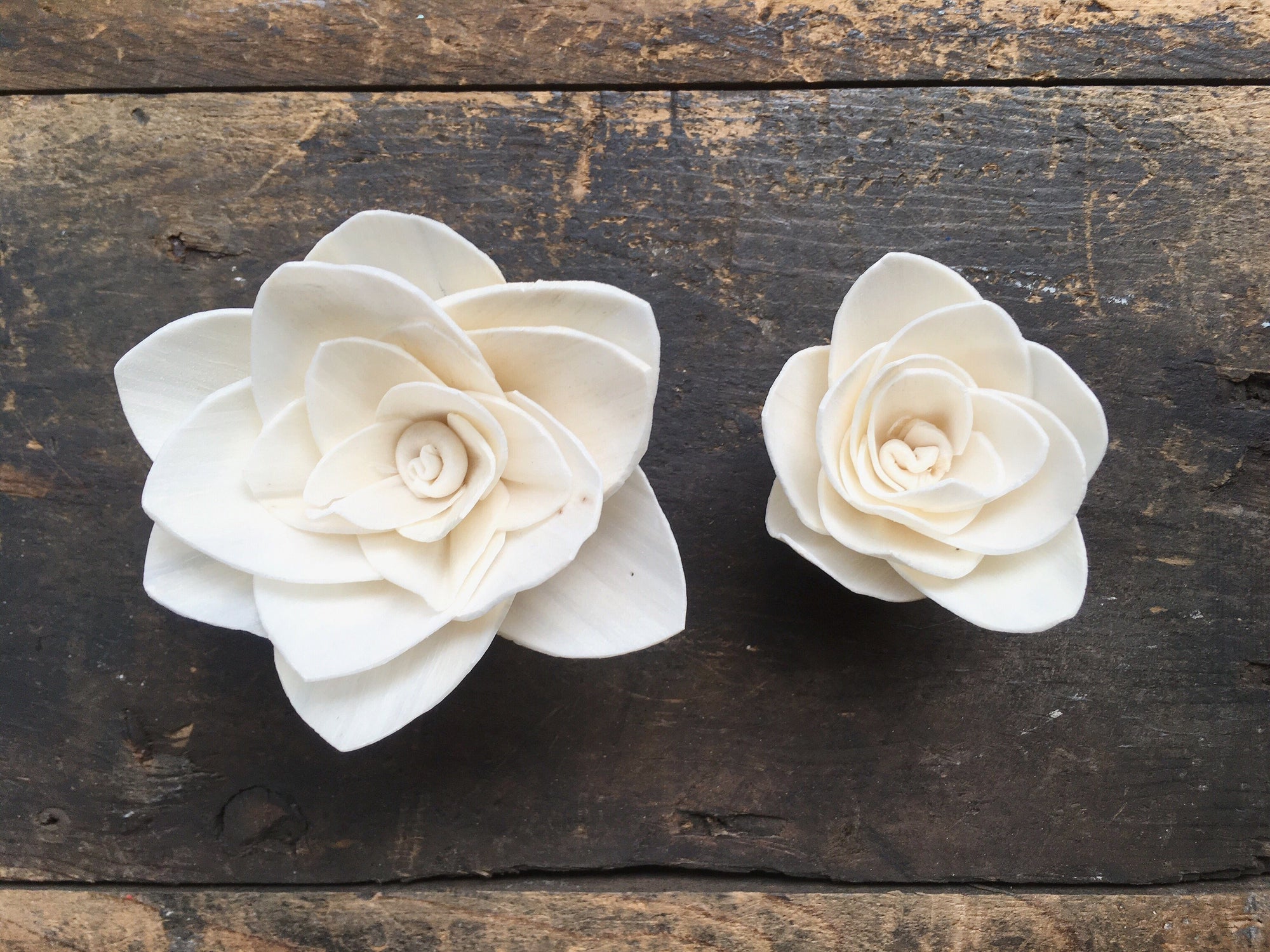 Gardenia Flower  - set of 12- 1.5 inches _sola_wood_flowers