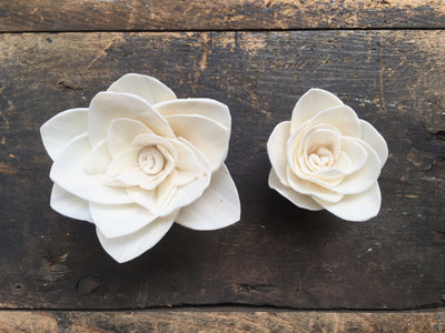 Gardenia Flower  - set of 12- 1.5 inches _sola_wood_flowers