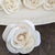 Georgia Rose™ set of 12 _sola_wood_flowers