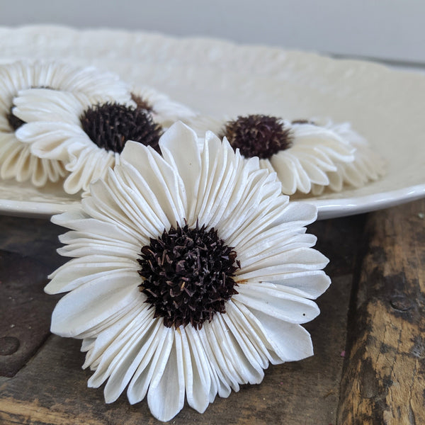 gerbera-set-of-12-25-inches-oh