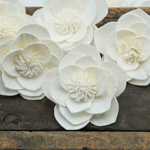 Grace™ Flower -3 inches- sold by the dozen _sola_wood_flowers