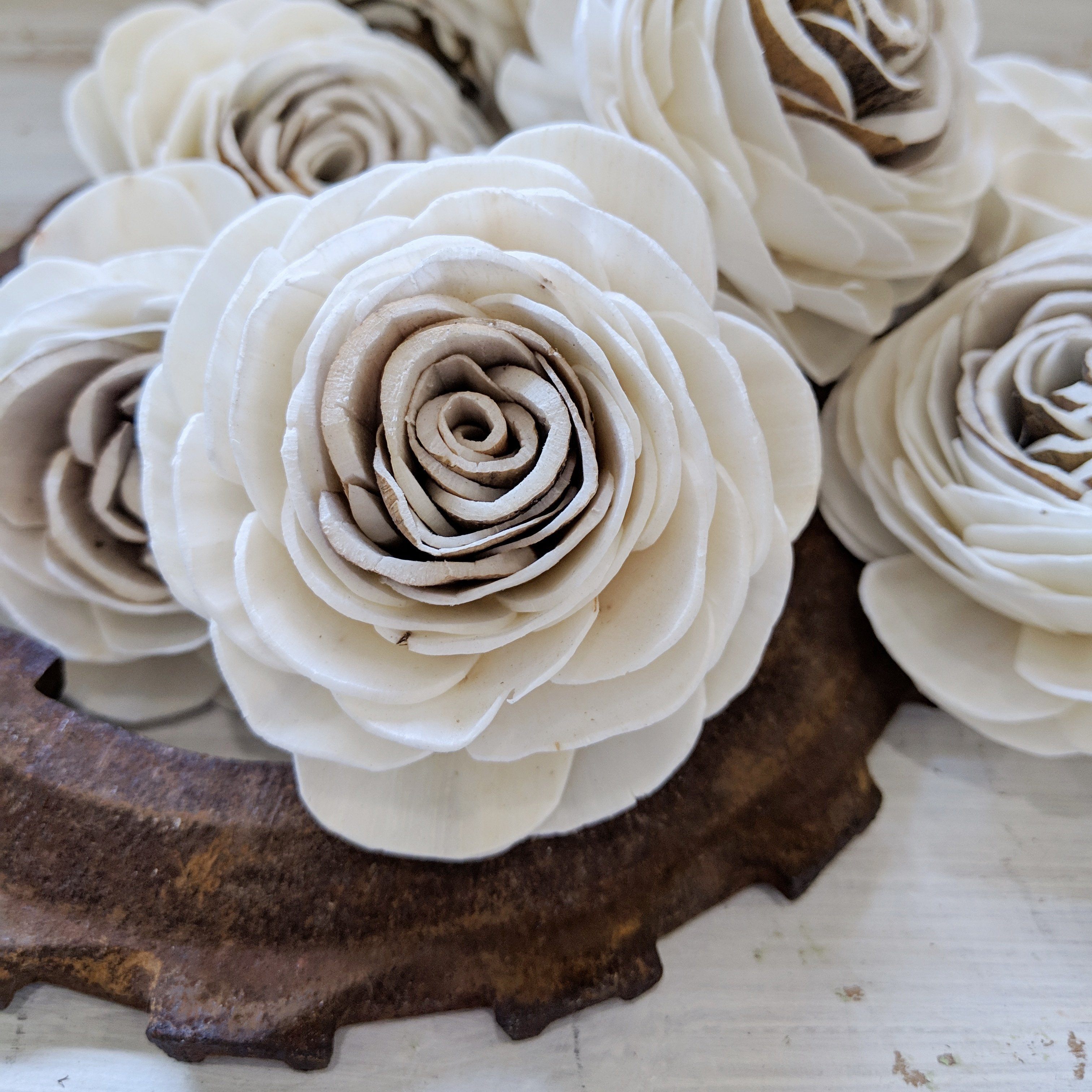 Harvest Rose™- set of 12- 2.5 inches _sola_wood_flowers