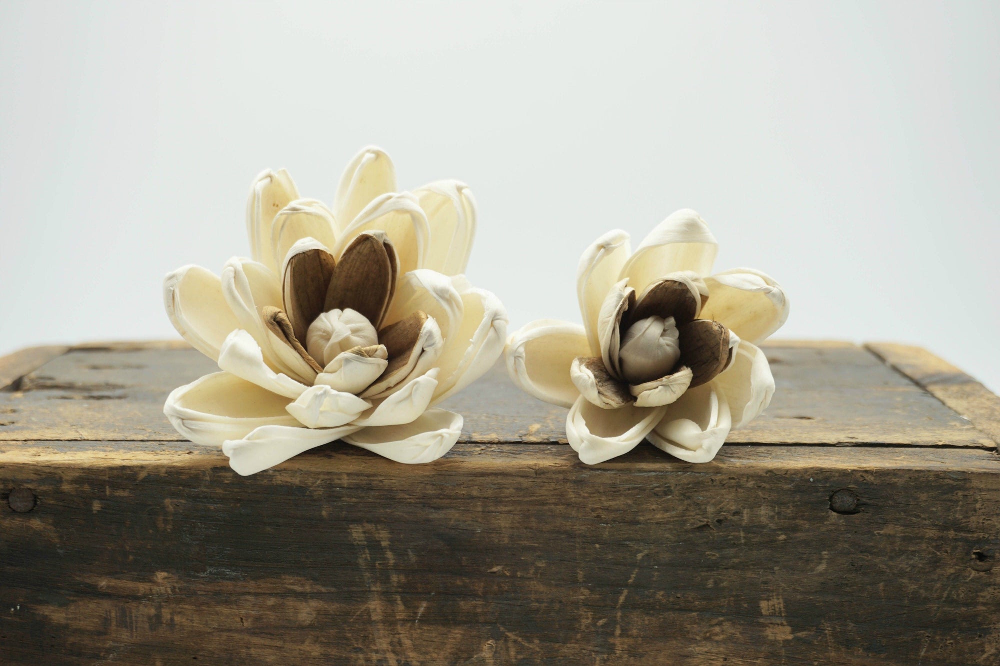 Hazel™ Flower  - set of 12- 3 inches _sola_wood_flowers
