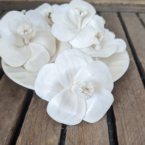 Hibiscus - set of 12 - 2.5 inches _sola_wood_flowers