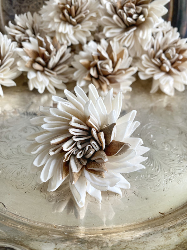 【w.o.d.】 F.L.O.W.E.R.S. Winifred Sola Wood Flower | Set of 12 - Oh! You're Lovely - Sola
