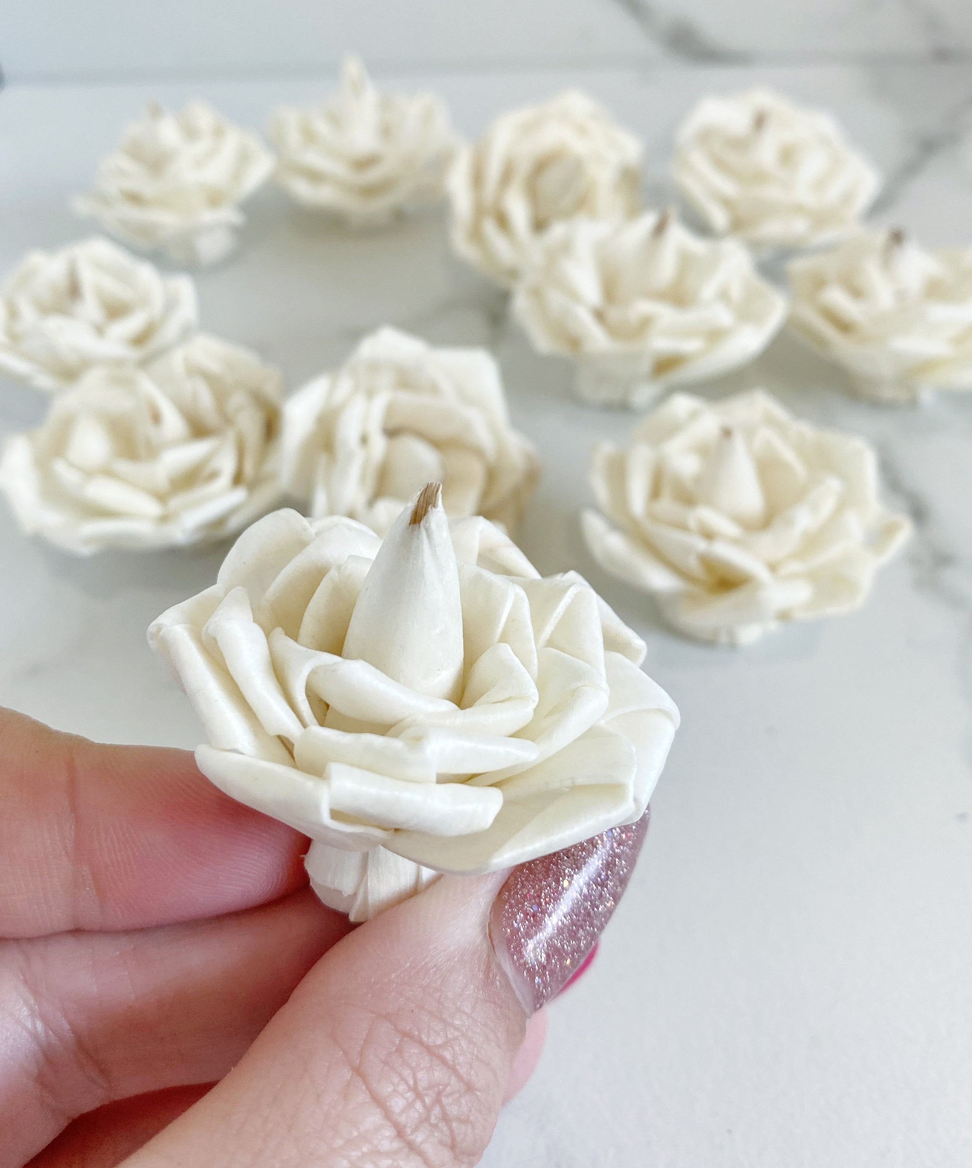 Blooming Clara ™ | set of 12 | 1.5 inches