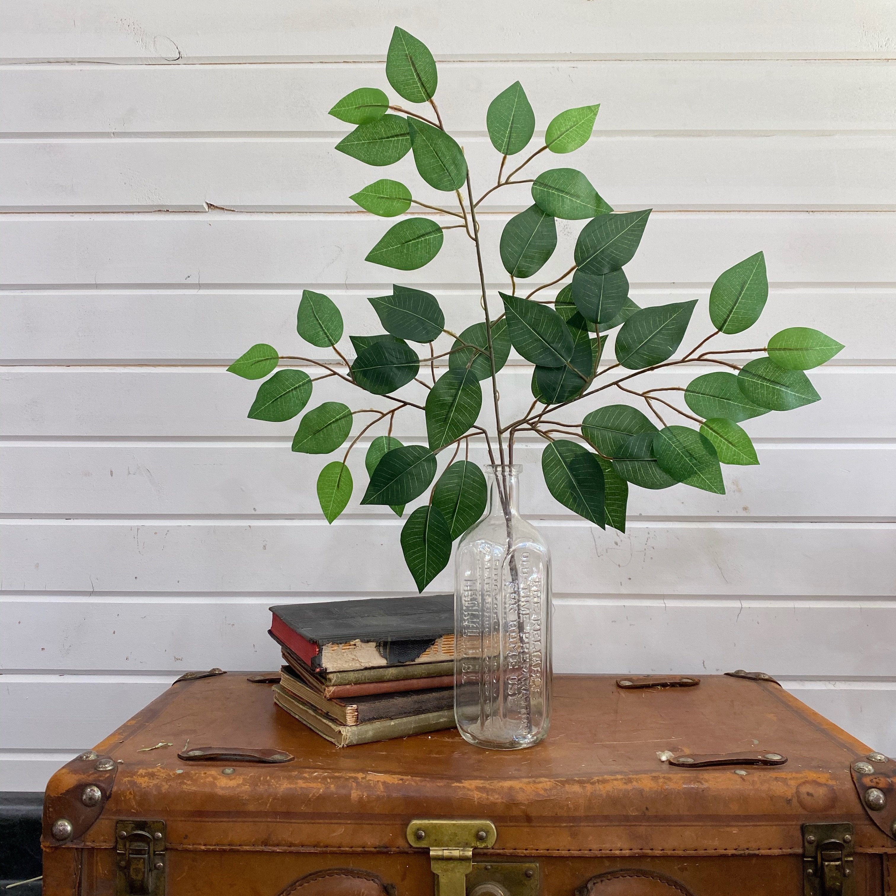 Artificial Ficus _sola_wood_flowers