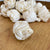 Hawaiian Ginger™ - set of 12 - 2.5" _sola_wood_flowers