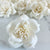 Damask ™ | set of 12 | 2.5 inches