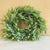Mini Wreath featuring large ruscus | Artificial