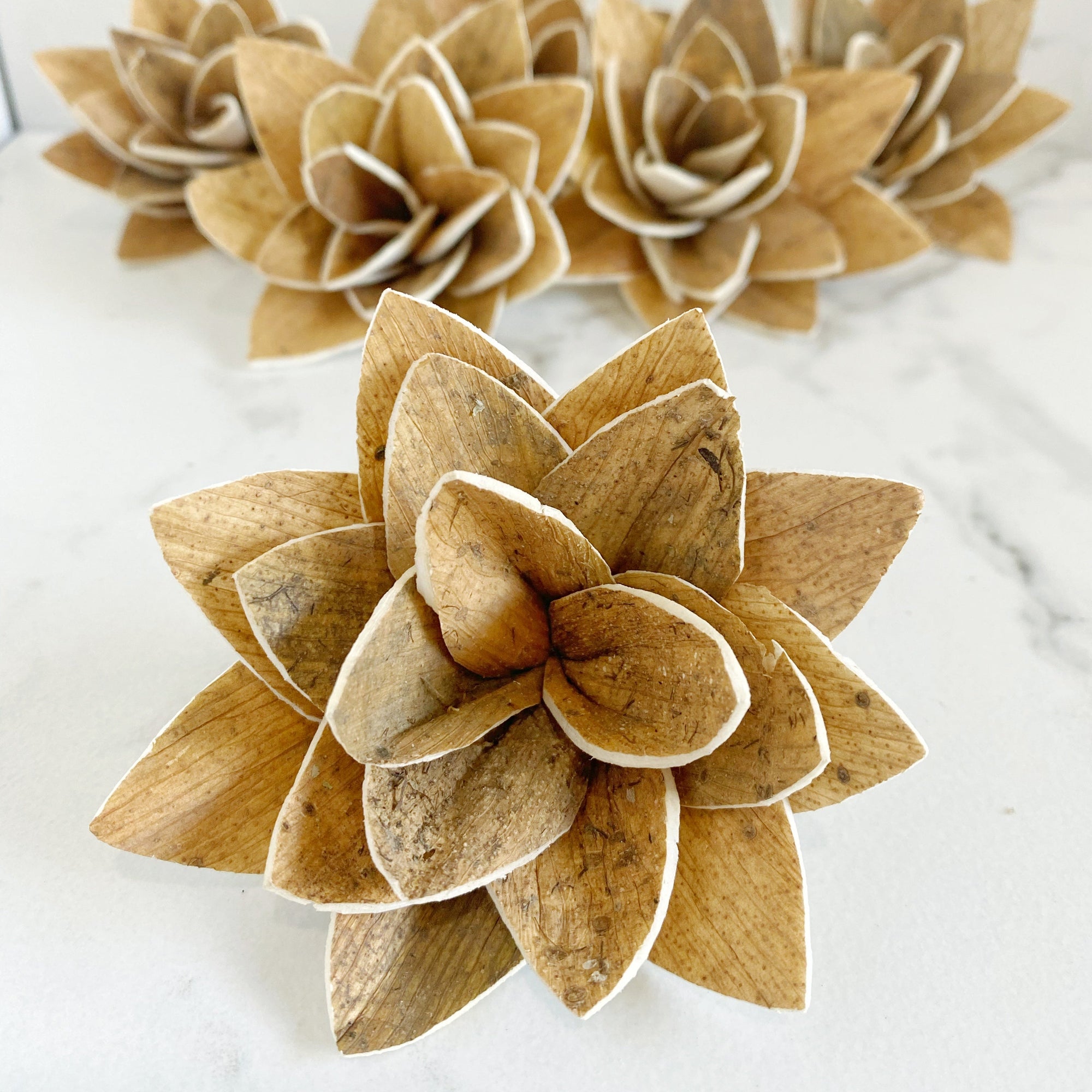How to Best Use Dried Flowers in Bulk in DIY Crafts – Sola Wood Flowers