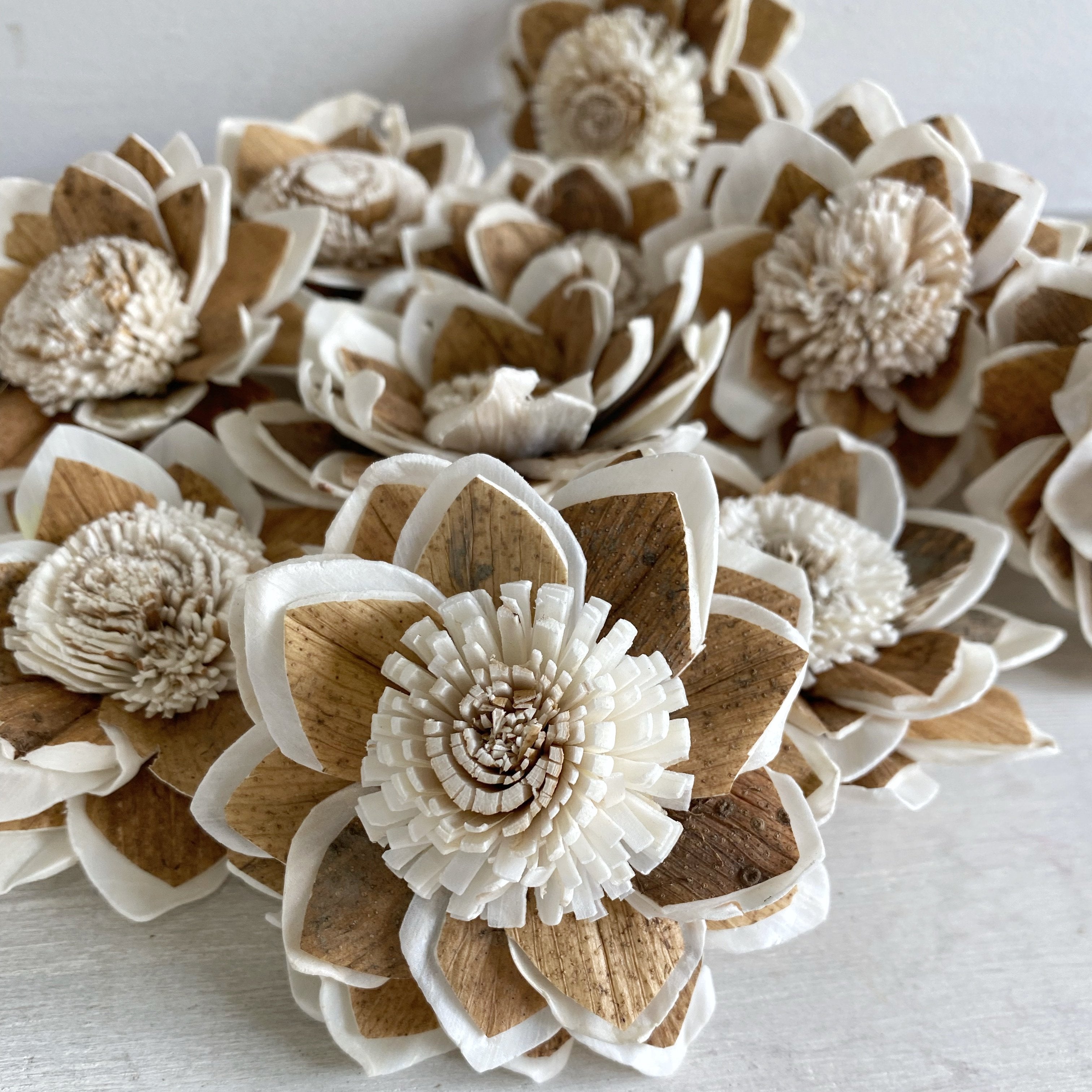 Sola Wood Flowers for DIY Weddings & Decor - Oh! You're Lovely - Sola Wood  Flowers