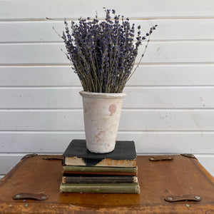 Lavender- Dried/Natural - Old English _sola_wood_flowers