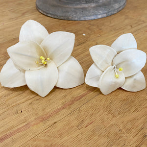 Trillium™ - set of 12 - 3 inches _sola_wood_flowers