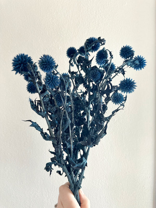 Blue Echinops  Dried and Dyed Filler - Oh! You're Lovely - Sola
