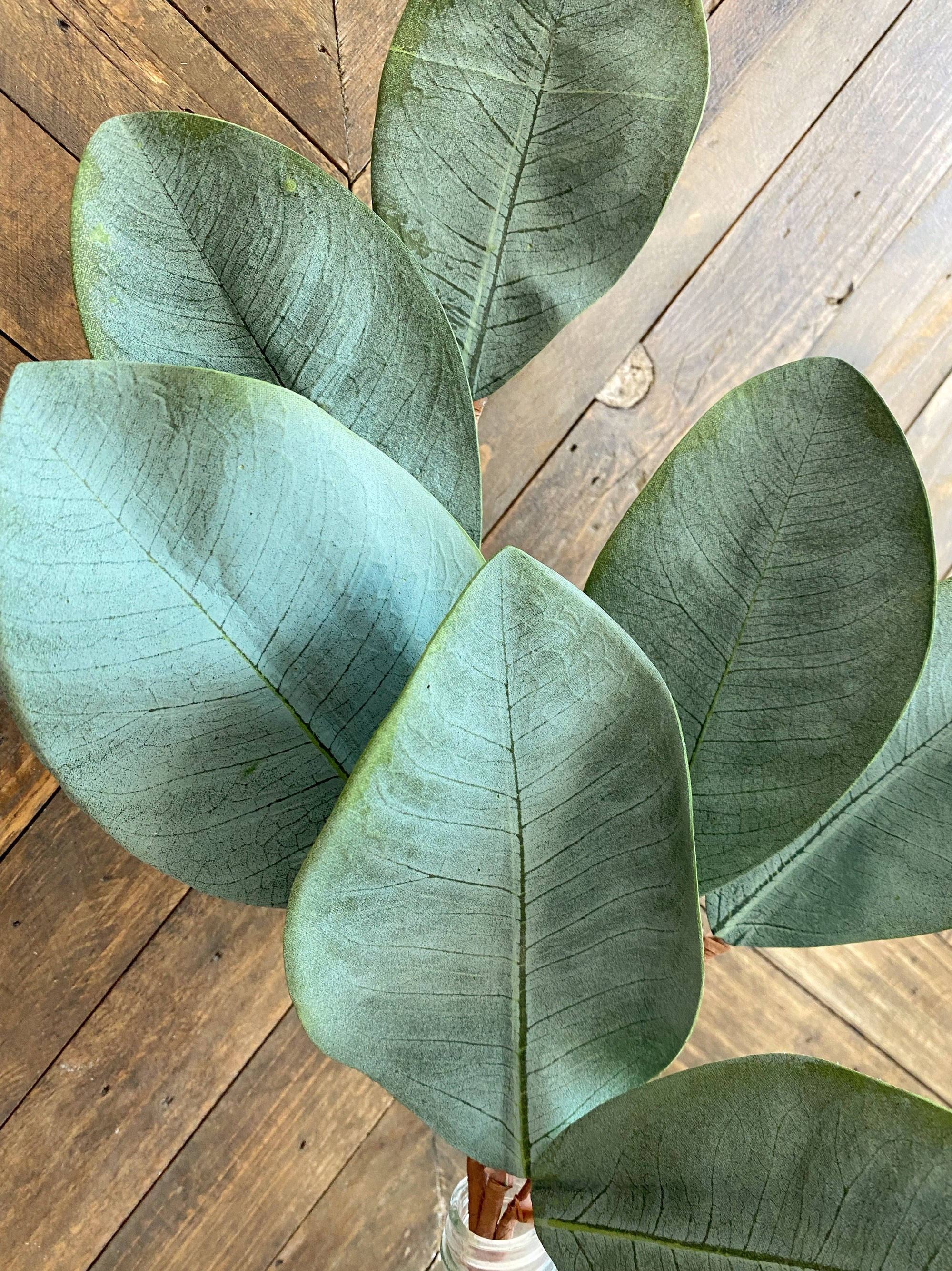 Medium Magnolia Leaves | Artificial Greenery