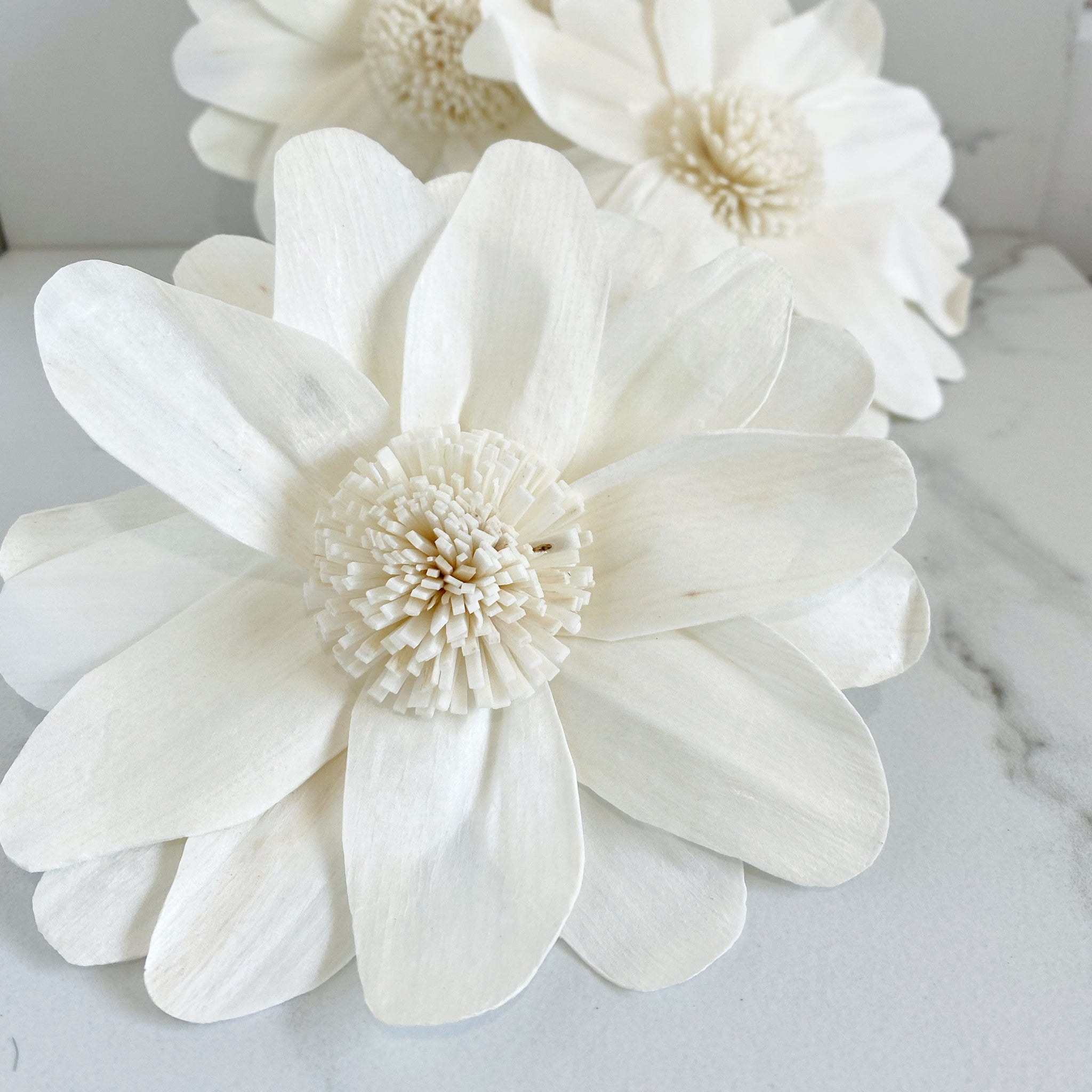 Sola Wood Flowers for DIY Weddings & Decor | Page 7 | Oh You're Lovely