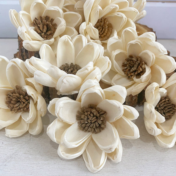 Spellbound Flower - Sola Wood Flowers - sold by the dozen - Oh