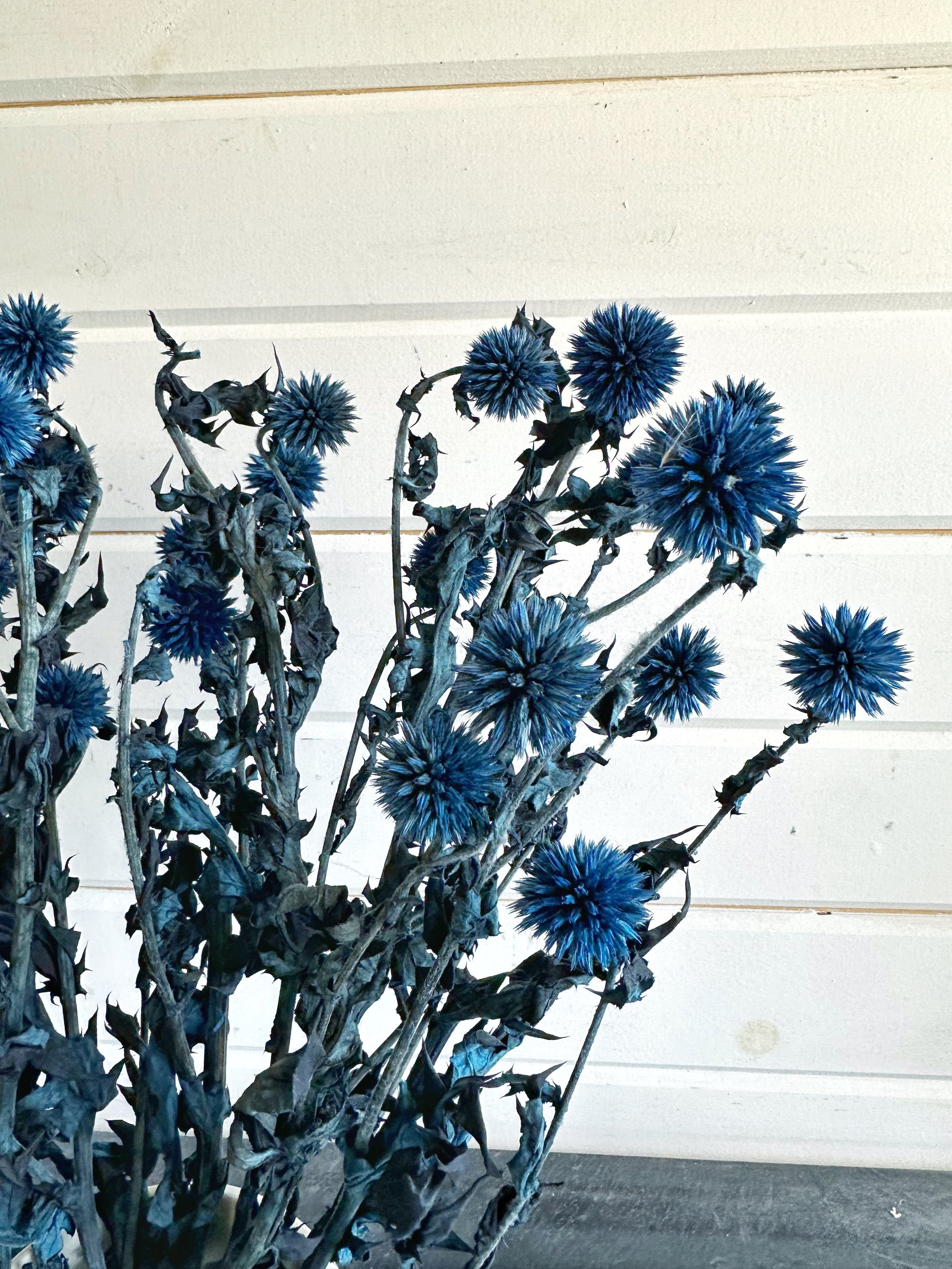 Blue Echinops  Dried and Dyed Filler - Oh! You're Lovely - Sola Wood  Flowers